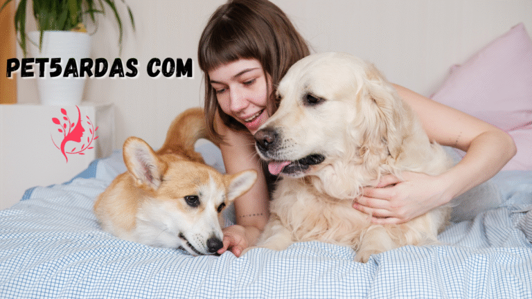 pet5ardas com